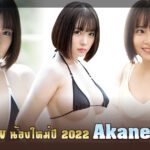 นักแสดง AV น้องใหม่ปี 2022 Akane-Suzu