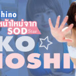 แนะนำหนังAV STARS-716 Riko Hoshino ดาราเอวีหน้าใหม่จาก SOD Star