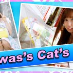 สาวAV-ตัวตนที่แท้จริงของโจรสาวขโมยในย่านชินจูกุ “Reiwas’s Cat’s Eye” ได้ถูกเปิดเผย ขโมยเงินไปกว่า 3 พันล้านเยนในเวลาสามเดือน