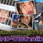 เอานักแสดงAVขังอยู่ใต้ท่อระบายน้ำ OMHD-018น่ากลัวมาก