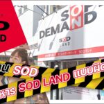 ประธาน SOD บริหาร SOD LAND แบบผิดกฎหมาย ในนั้นให้บริการอะไรบ้าง? มีรายงานอยู่ในเนื้อหา