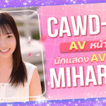 CAWD-894 เธอคือสาวAVที่แรงที่สุดประจำเดือนพฤศจิกายน! นางเอก AV หน้าใหม่ Miharu Yu